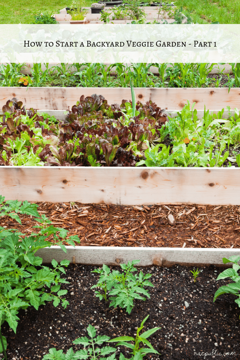 How to Start a Veggie Garden – Part 1