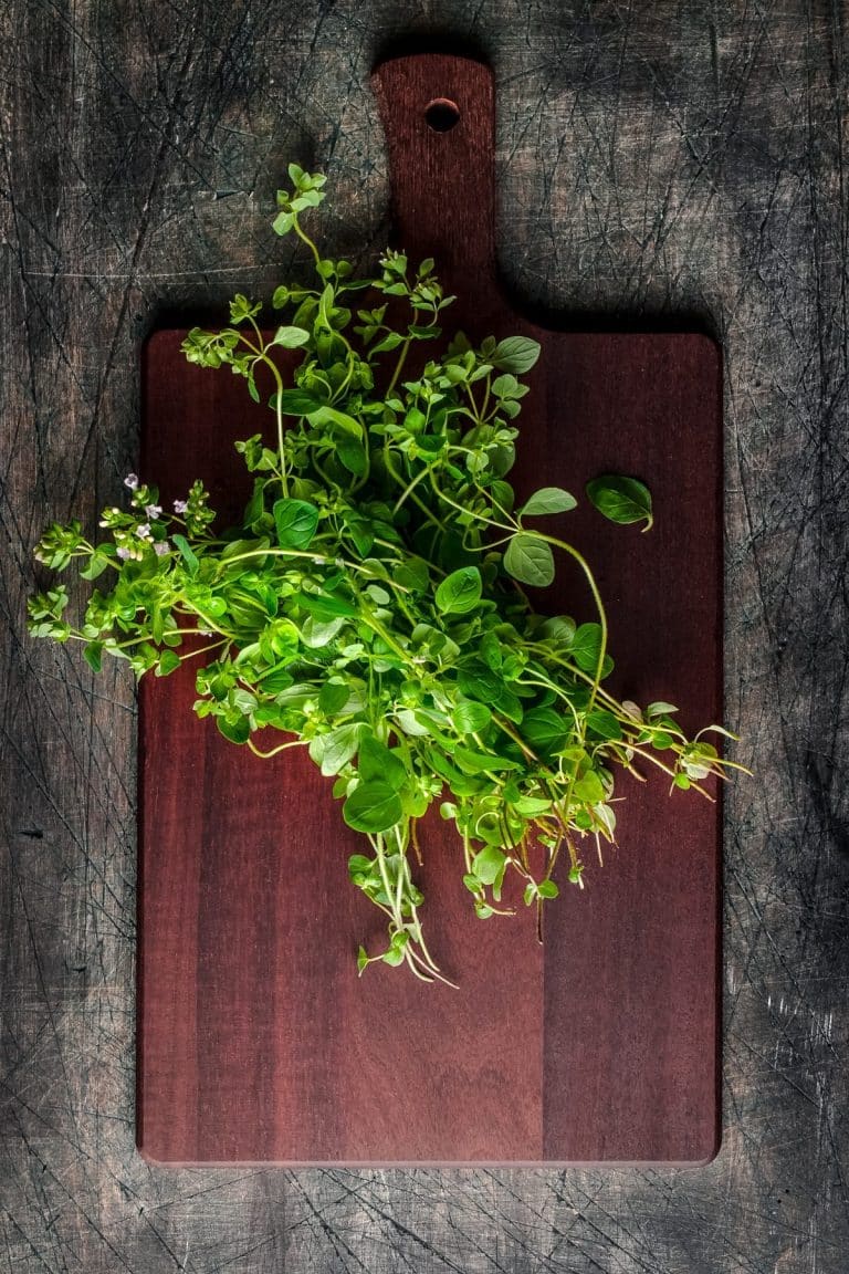 25 Best Substitutes for Oregano (Fresh And Dried Options)