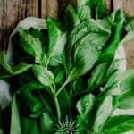 Close up of fresh basil leaves on a wooden table with a white cloth bag.