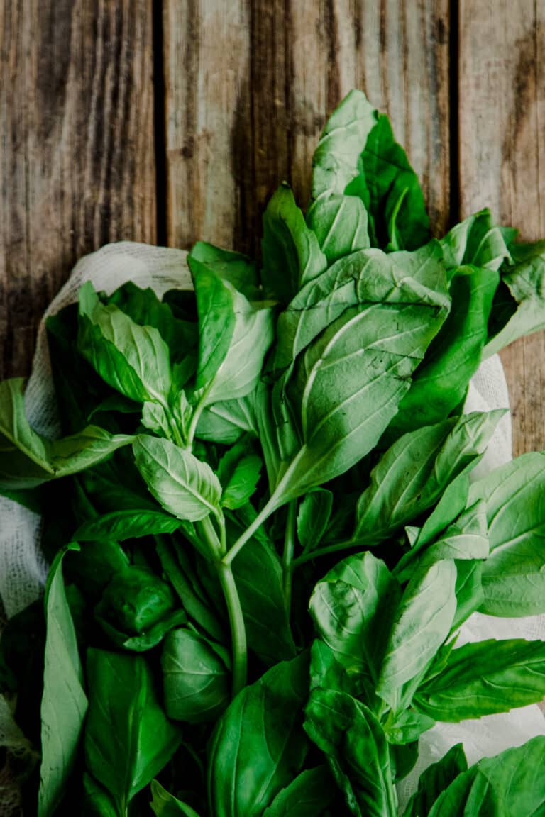 10 Best Substitutes for Basil