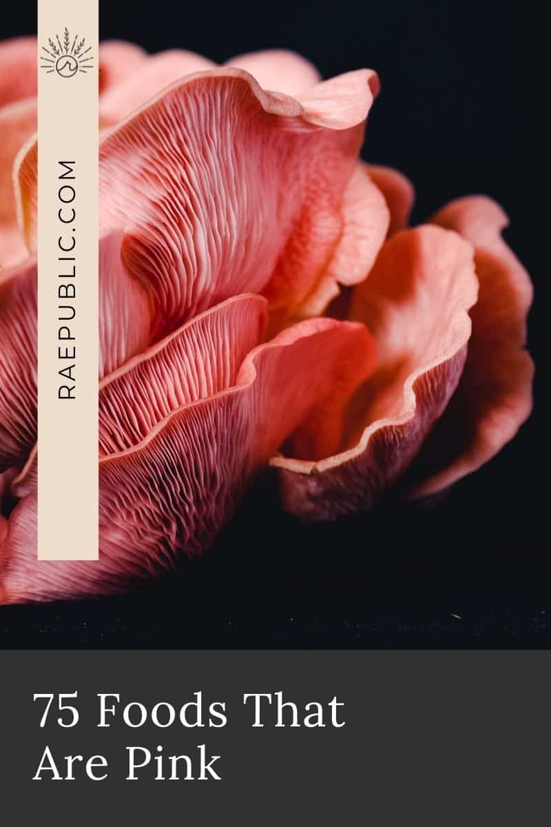 75 Foods That Are Pink (Naturally Pink Foods) Raepublic