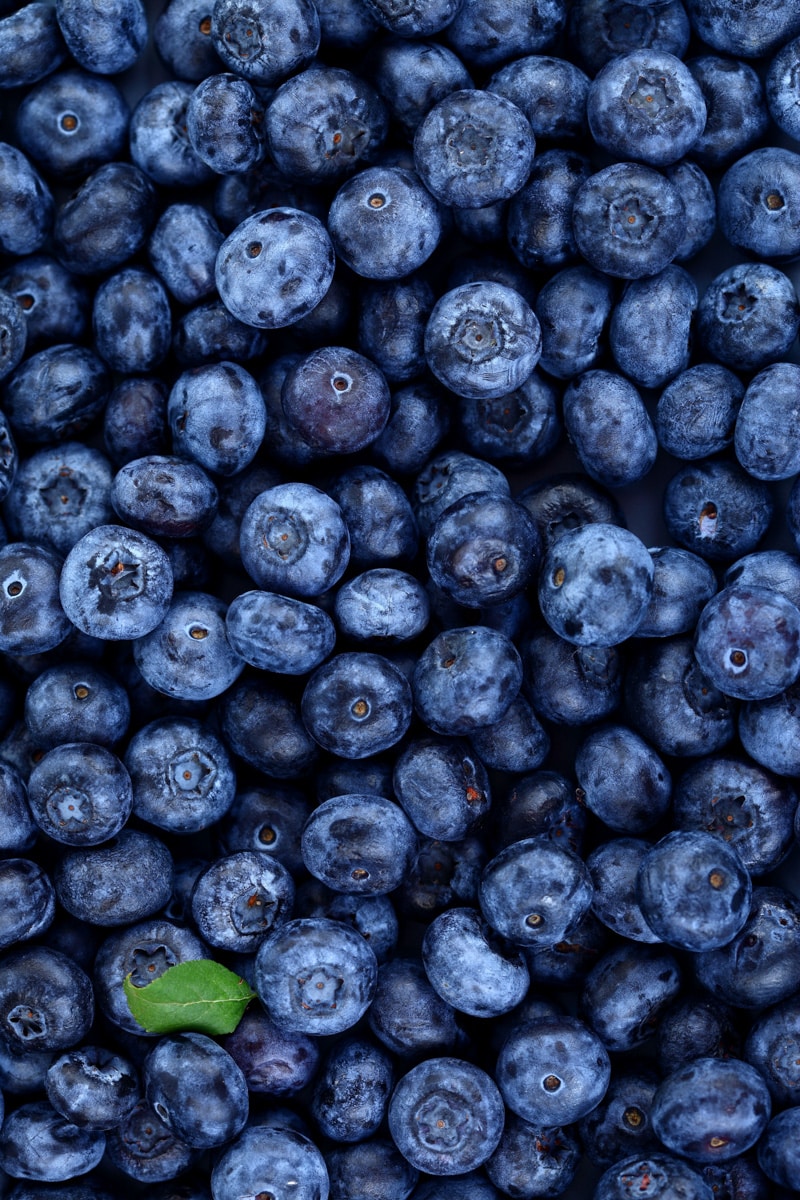 Tray full of fresh blueberries. 