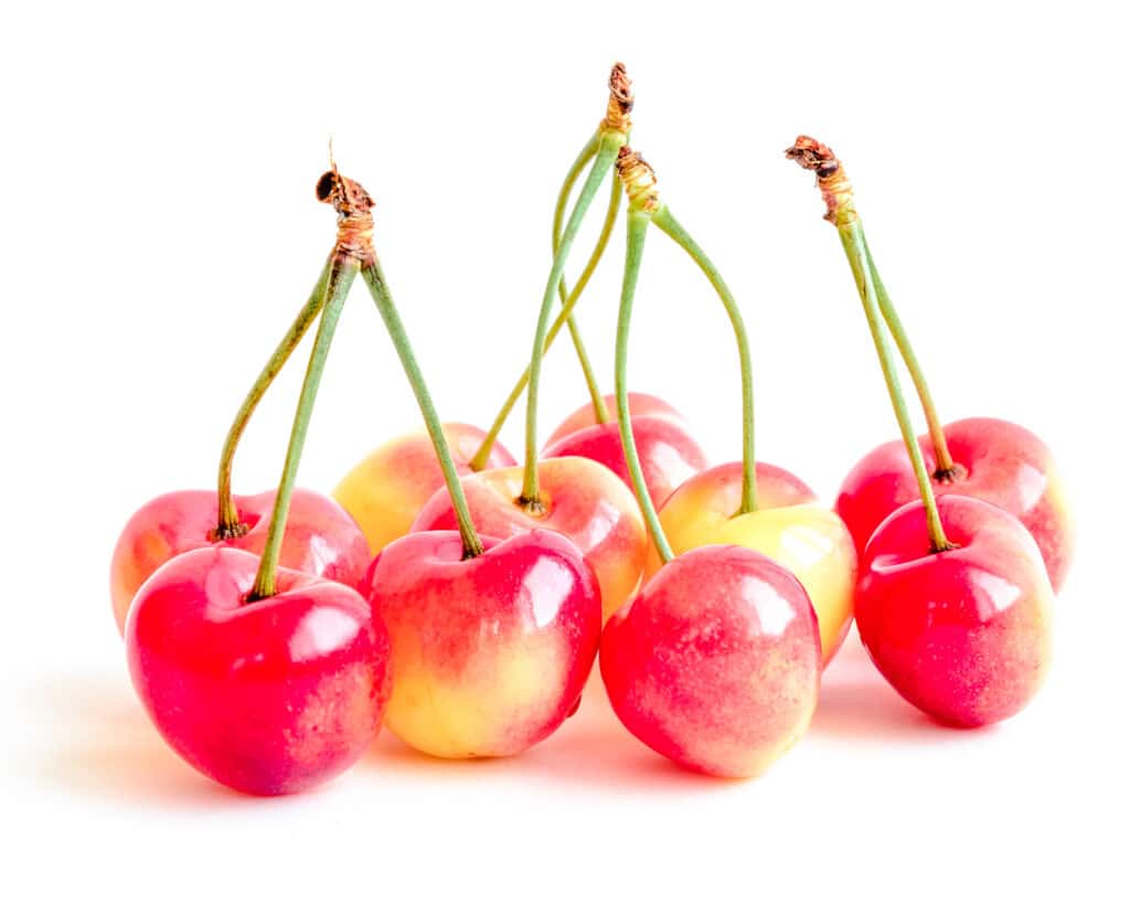 10 pink-yellow cherries with green stems.