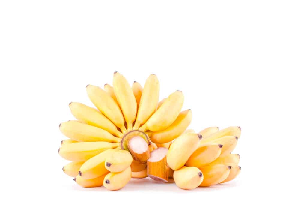 Small yellow bananas on a white surface.