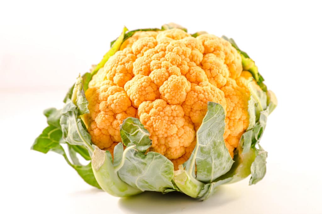 One large head of yellow cauliflower.