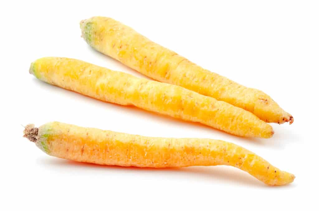 Three yellow carrots.