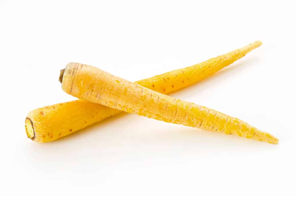 Two bright yellow carrots.