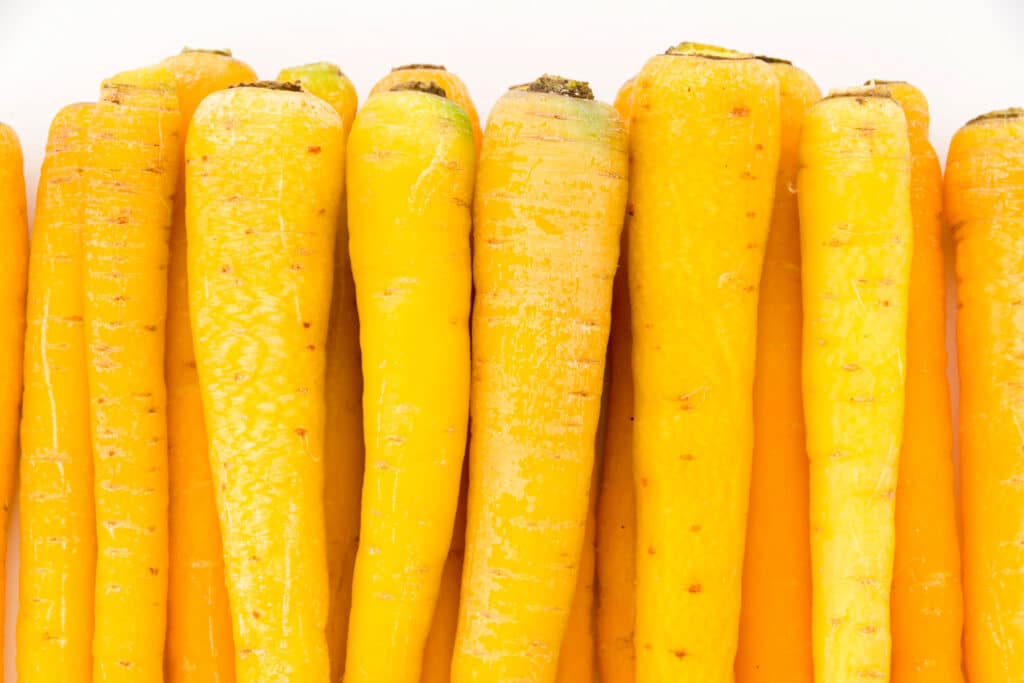 Dozens of bright yellow carrots in a row.