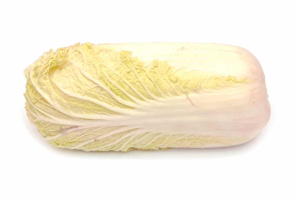 Yellow Chinese cabbage laying on its side.