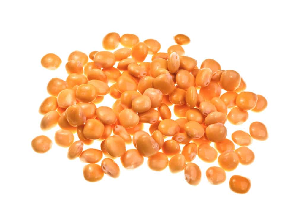 Pile of golden yellow orange round beans.