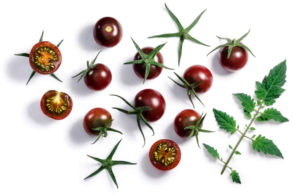 Black cherry tomatoes with green stems and leaves on a white surface. 