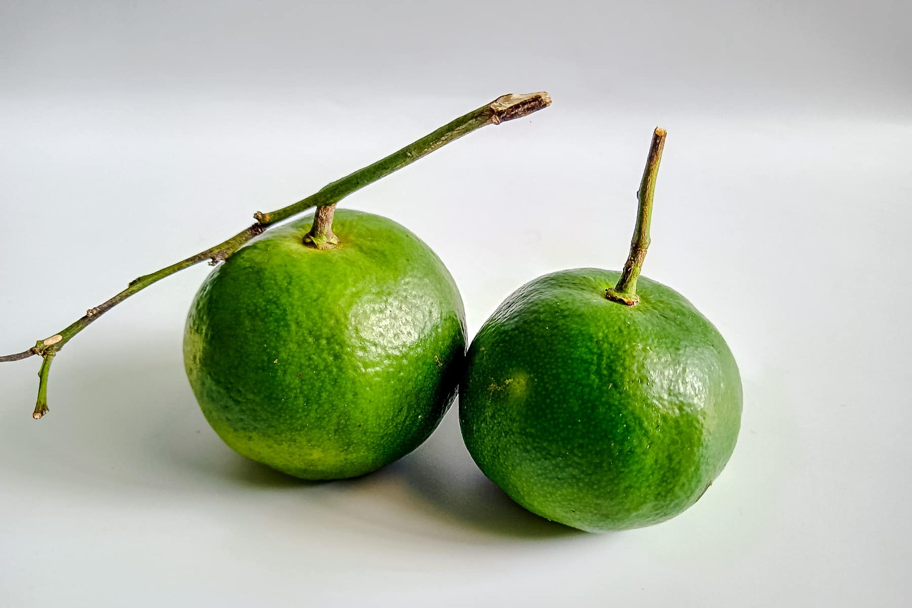 Dalandan citrus with a lime green exterior and vibrant orange flesh.