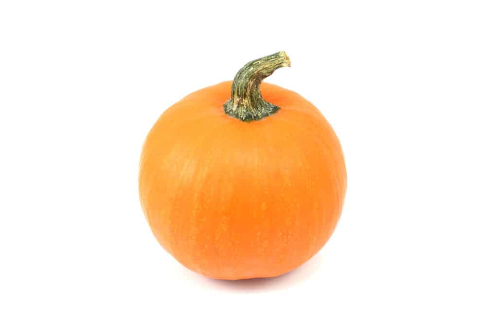 Orange sugar pumpkin, isolated on a white background