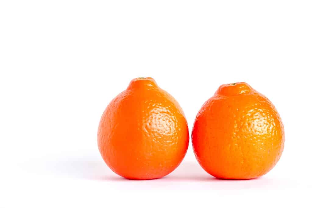 Two tangelo oranges next to each other on a white surface.