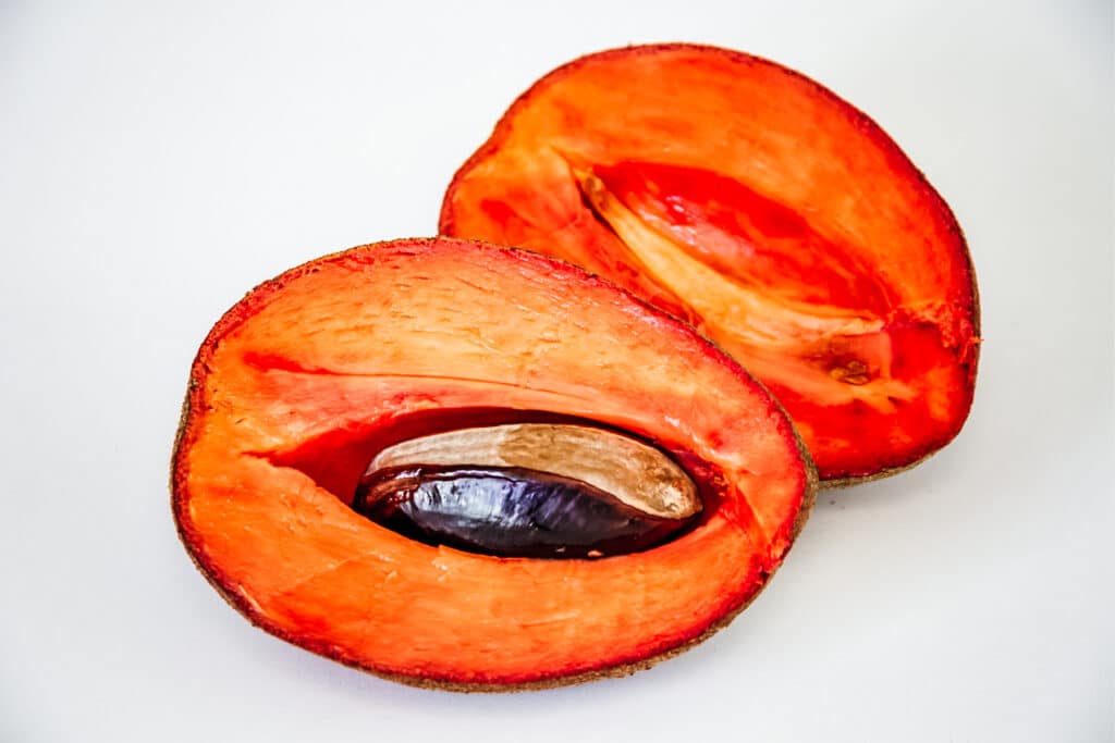 Mamey Sapote cut in half showing its big brown seed.