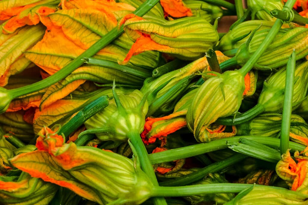 Pile of vibrant orange squash blossoms with their green stems.