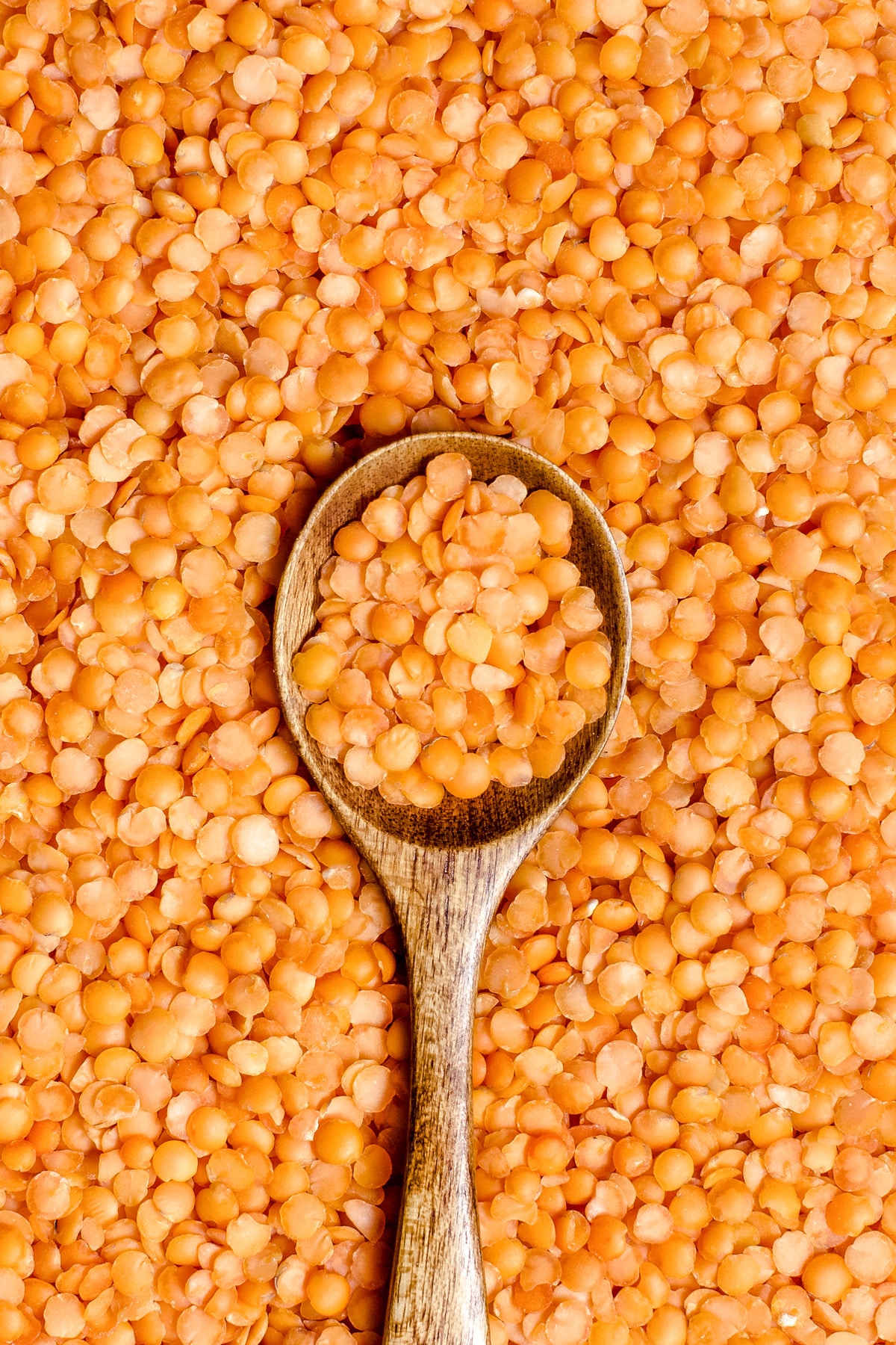 Red lentils with a spoon close up top view