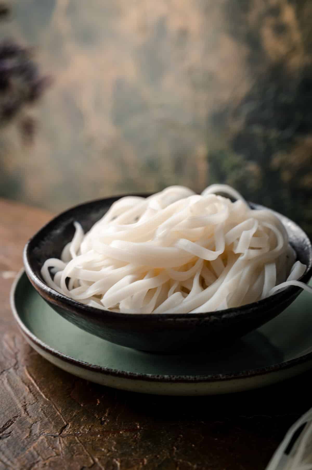 Angle view of black bowl filled with rice noodles.