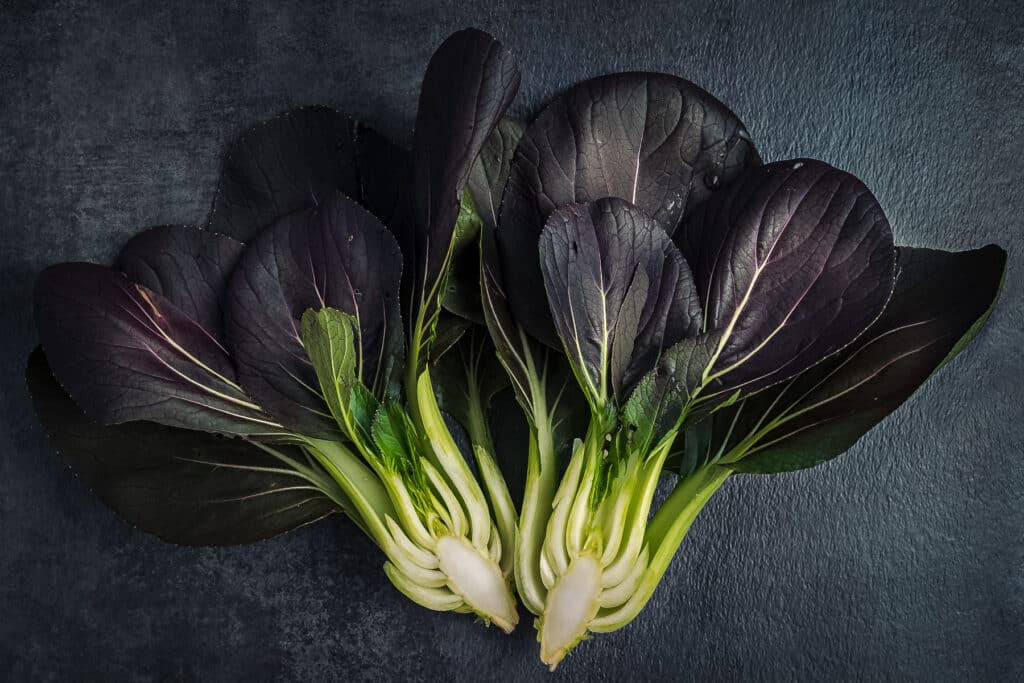 Purple Lady Bok Choy with green stalk on a blaack surface.