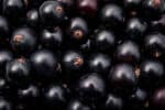 85 Foods That Are Black (Naturally Black Foods) - Raepublic