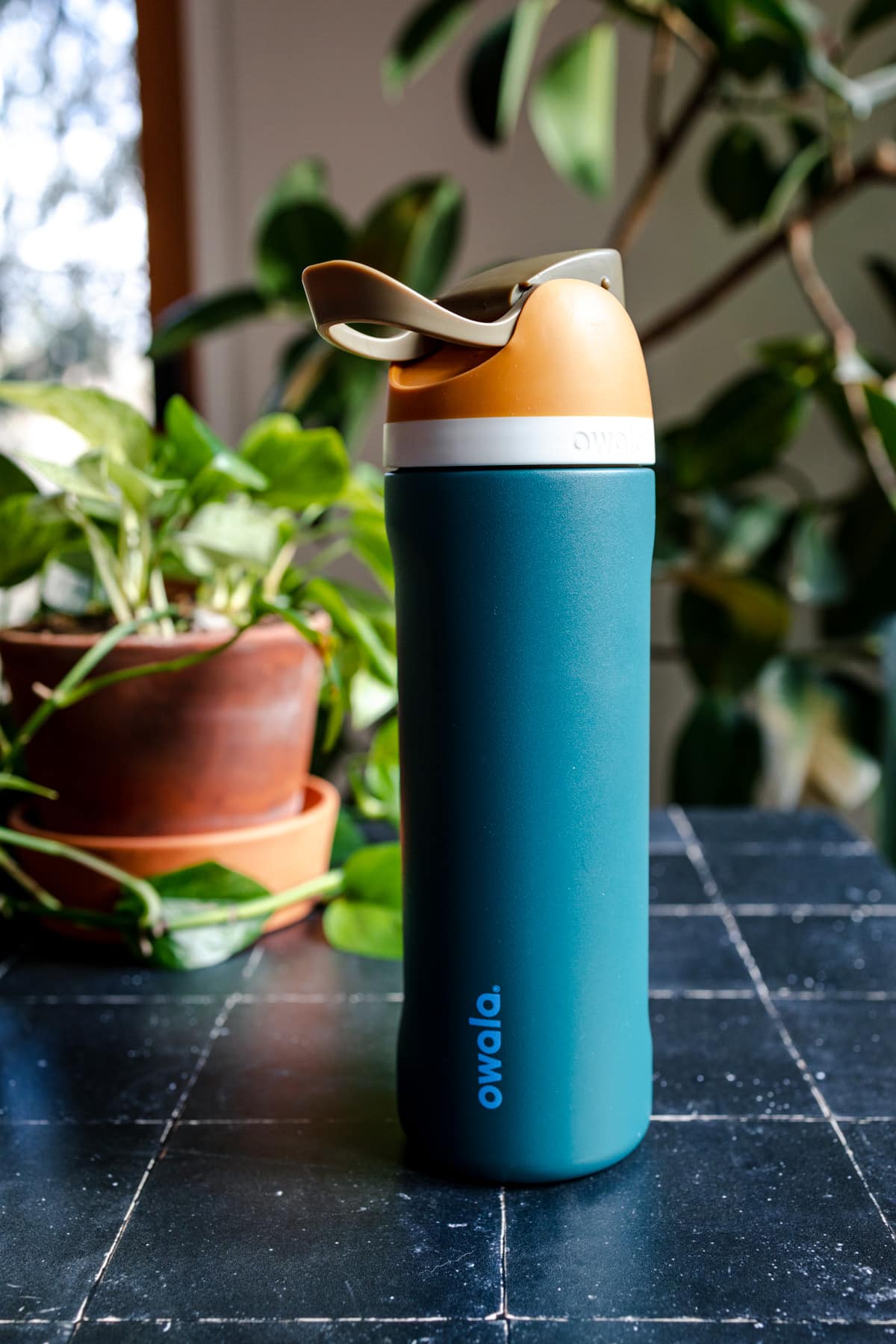 Owala water bottle that is teal on a black tile surface with a pothos plant behind it.