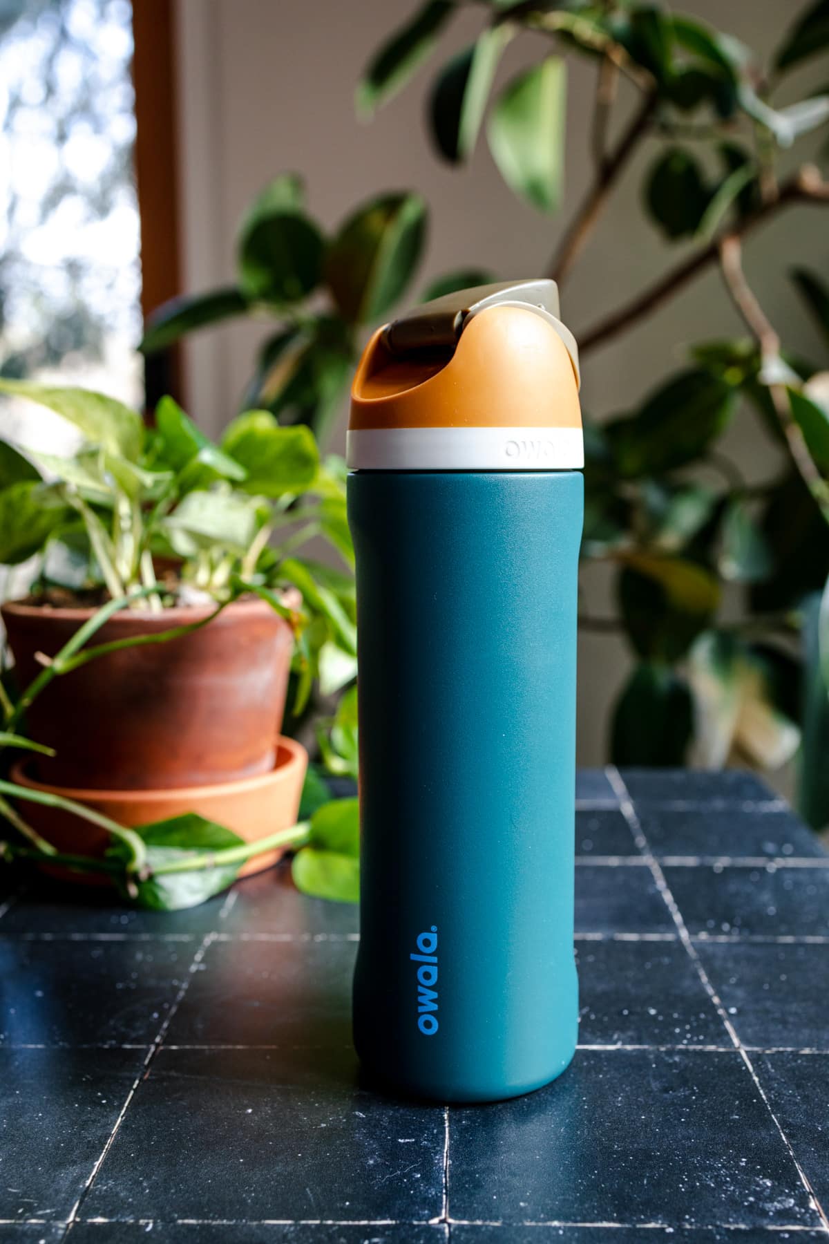 Teal colored waterbottle with light orange and tan lid next to a pothos planted in a terracotta pot.