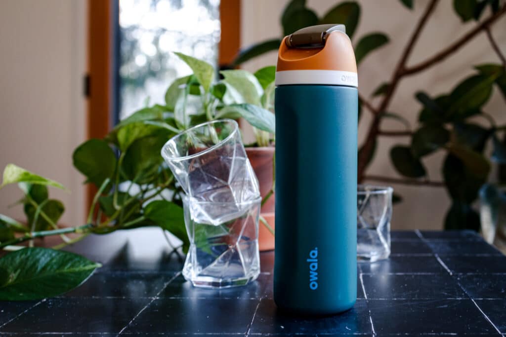 Teal colored insulated water bottle on a black tile surface with house plants behind it.