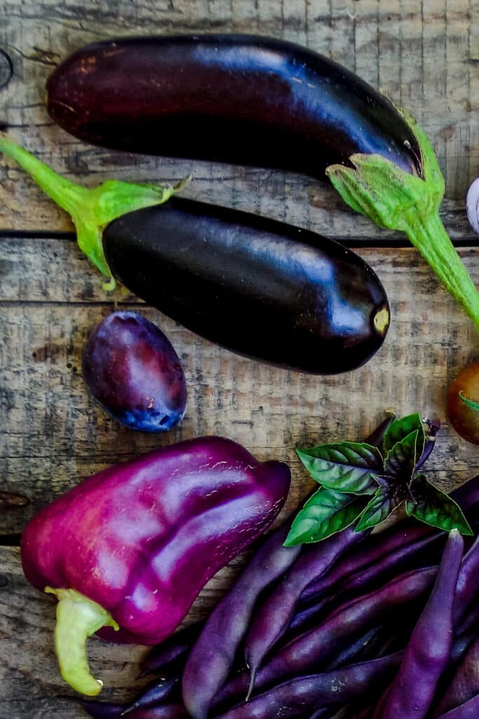 Purple egg plant, bell pepper, and beans.