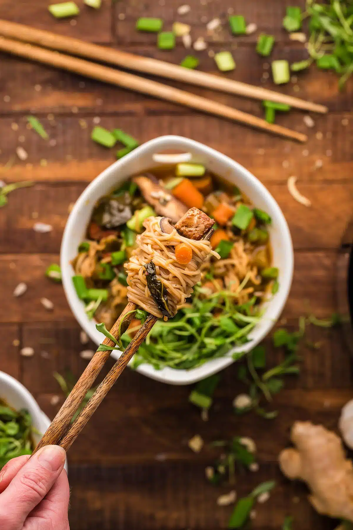 A person holding chopsticks over a bowl of vegan asian noodle soup.