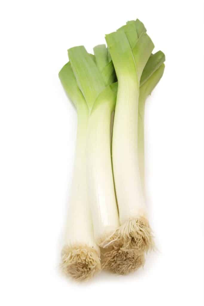 Large white leek with green tops.