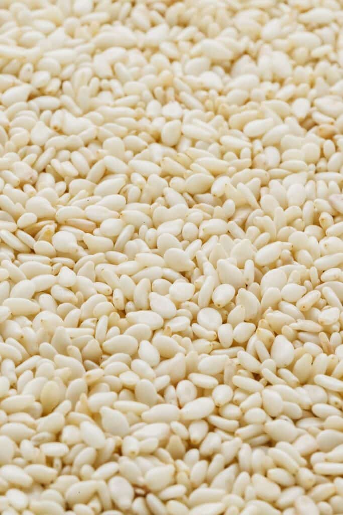 Surface covered in creamy white pine nuts.