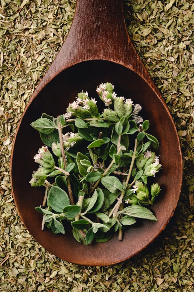Herbs in a wooden spoon on a green background.