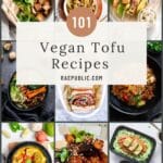 101 vegan tofu recipes.