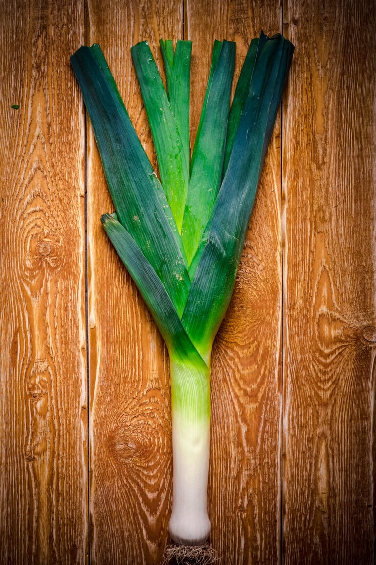 20 Best Leek Substitutes For Flawless Recipes
