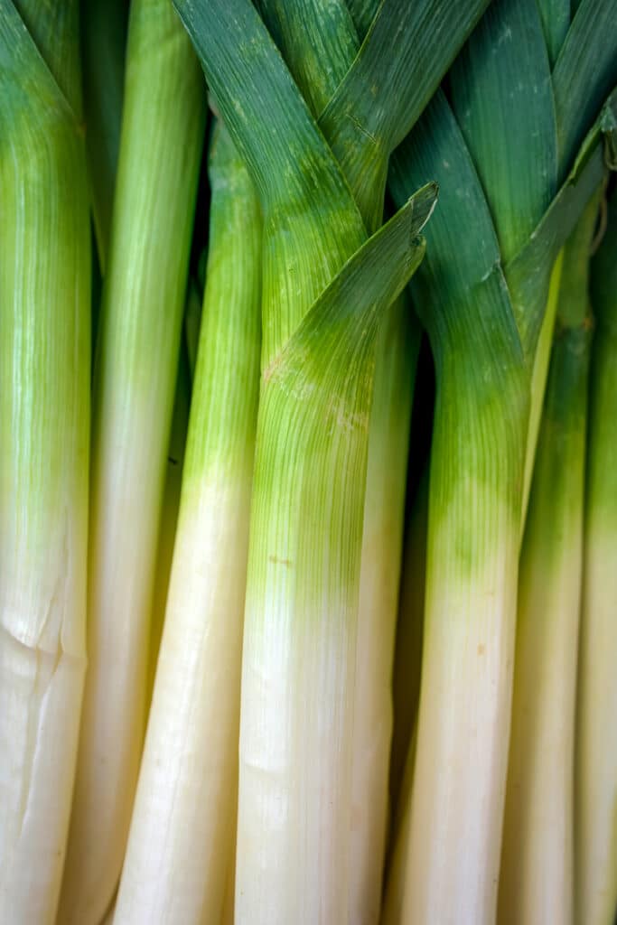 A close up of a bunch of green and white leeks.