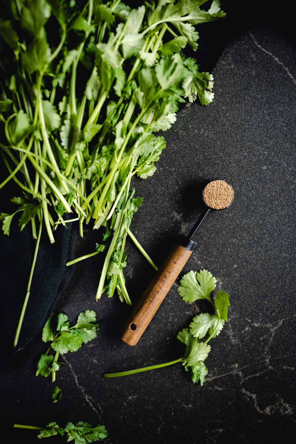 25 Best Substitutes For Cilantro (Fresh and Dried Options) - Raepublic