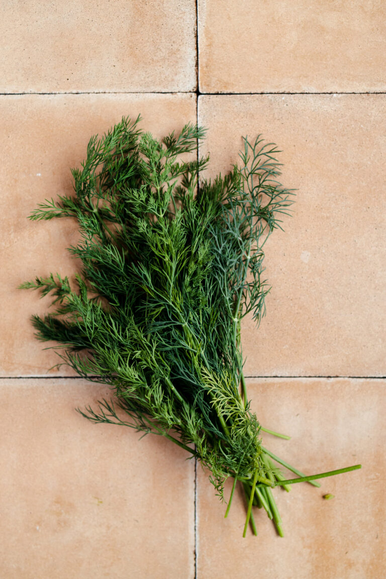 35 Best Substitutes For Dill (Fresh And Dried Ideas)