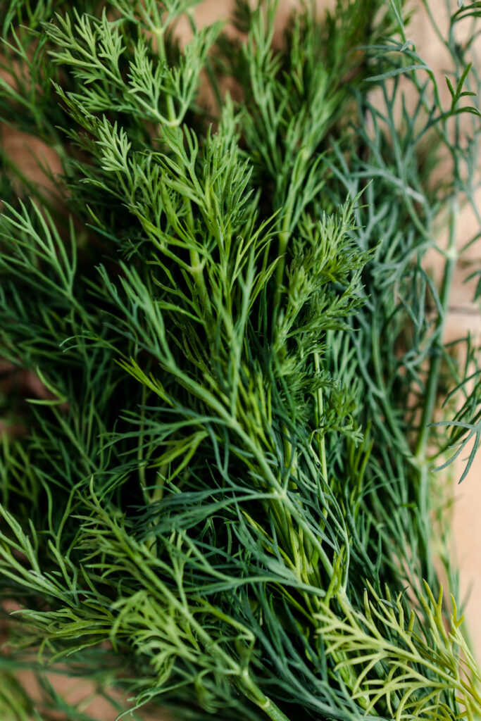 Fresh dill leaves on a wooden table.