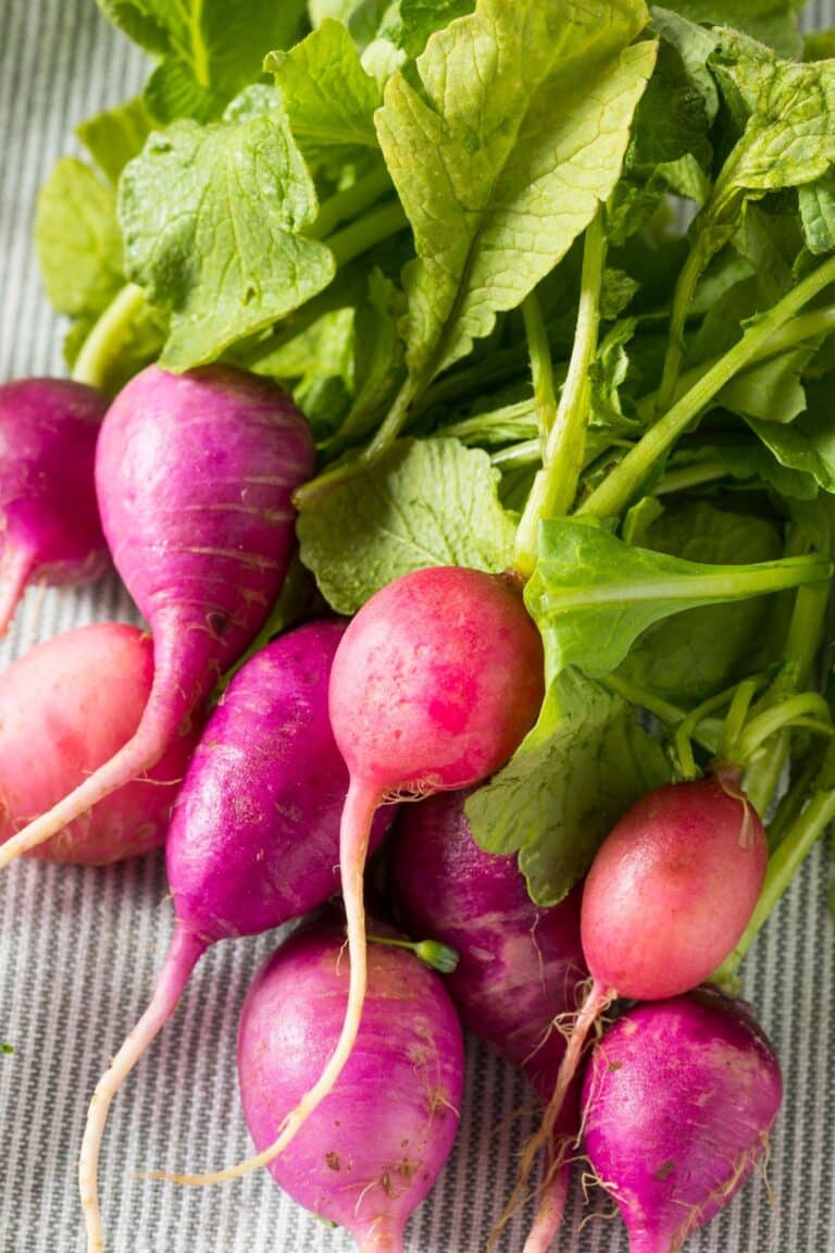 Pink Ravia Vegetable 75 Foods That Are Pink (Naturally Pink Foods) - Raepublic