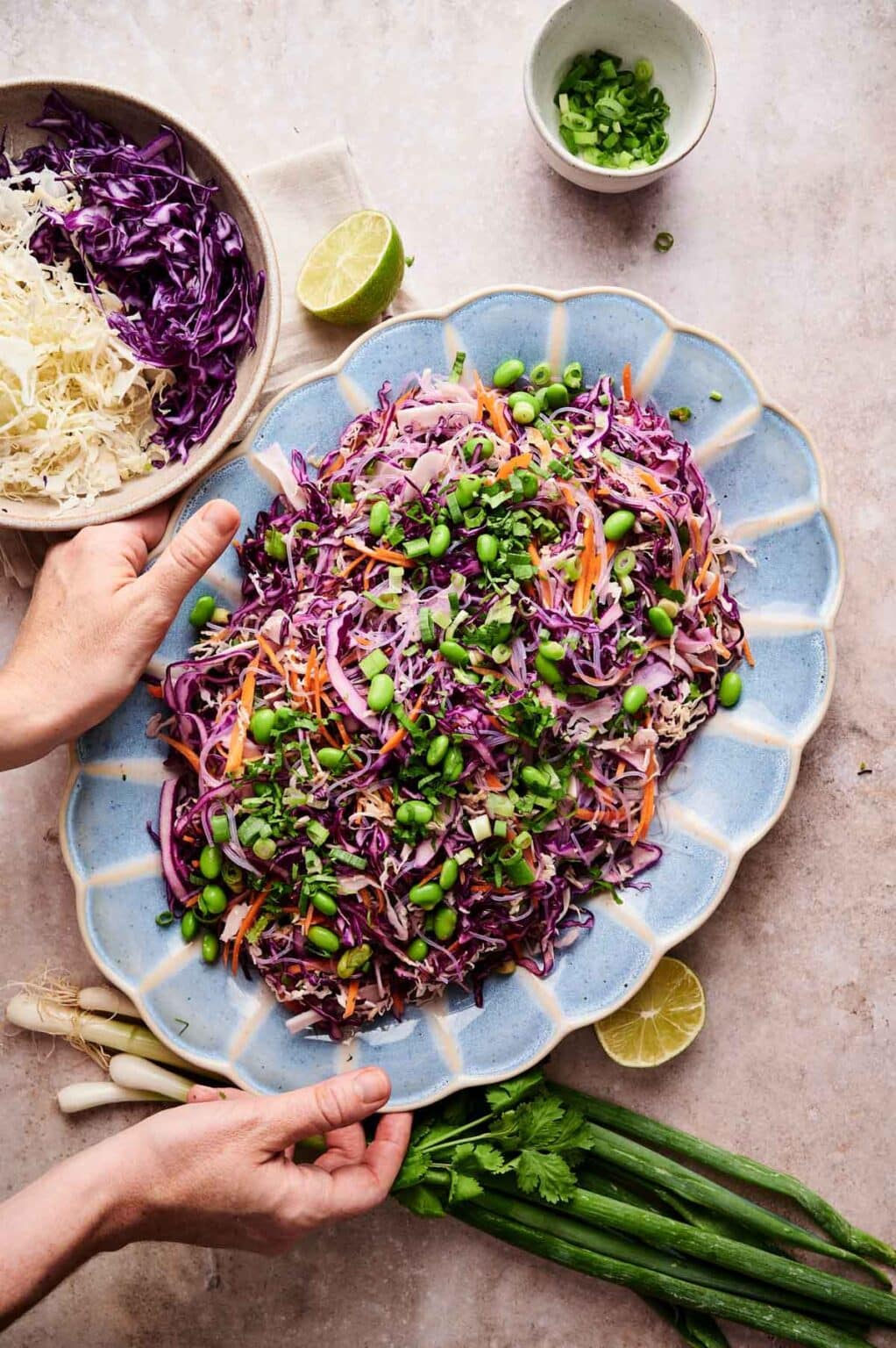 Spring Roll Salad - Raepublic