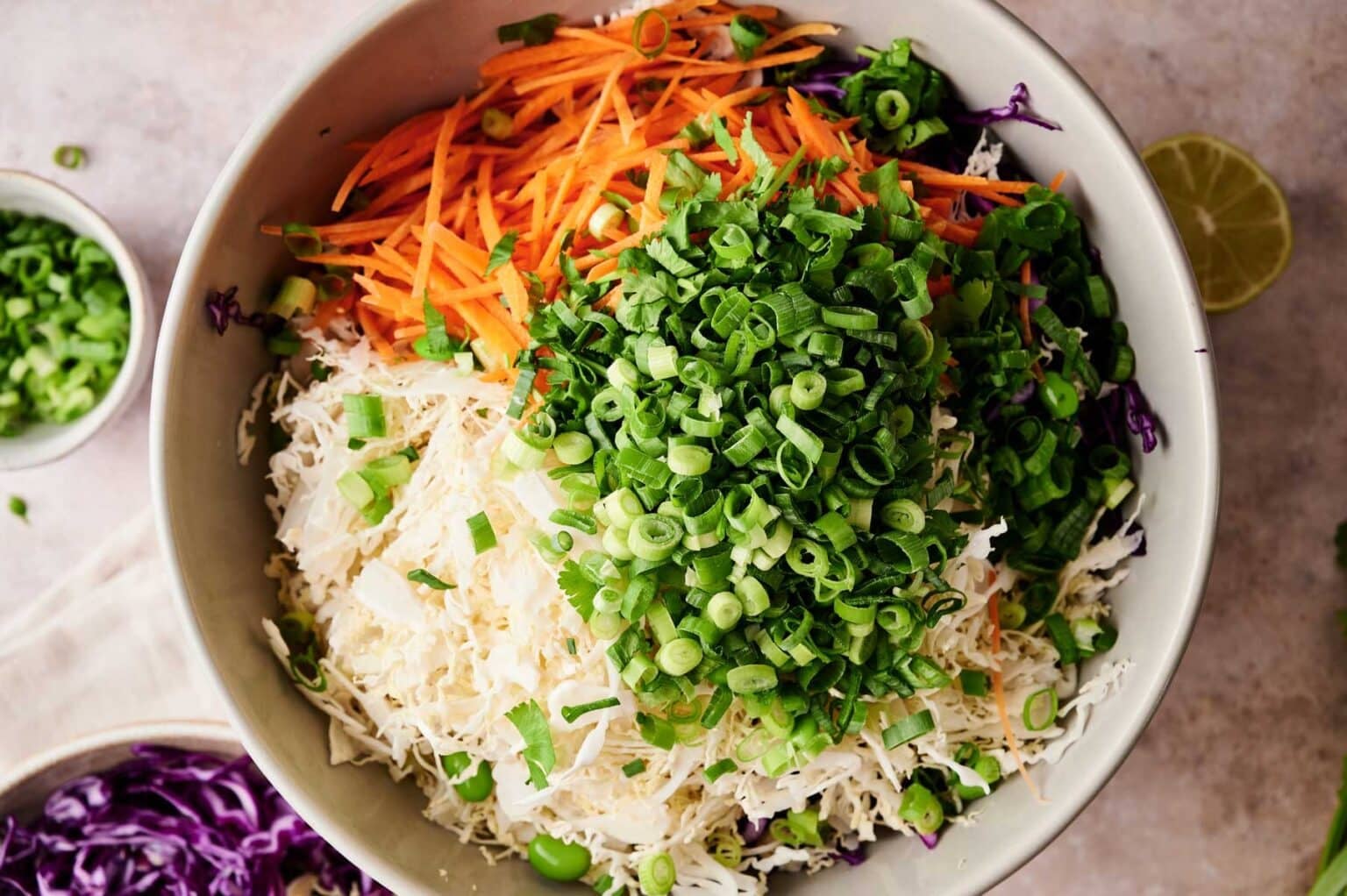 Spring Roll Salad - Raepublic