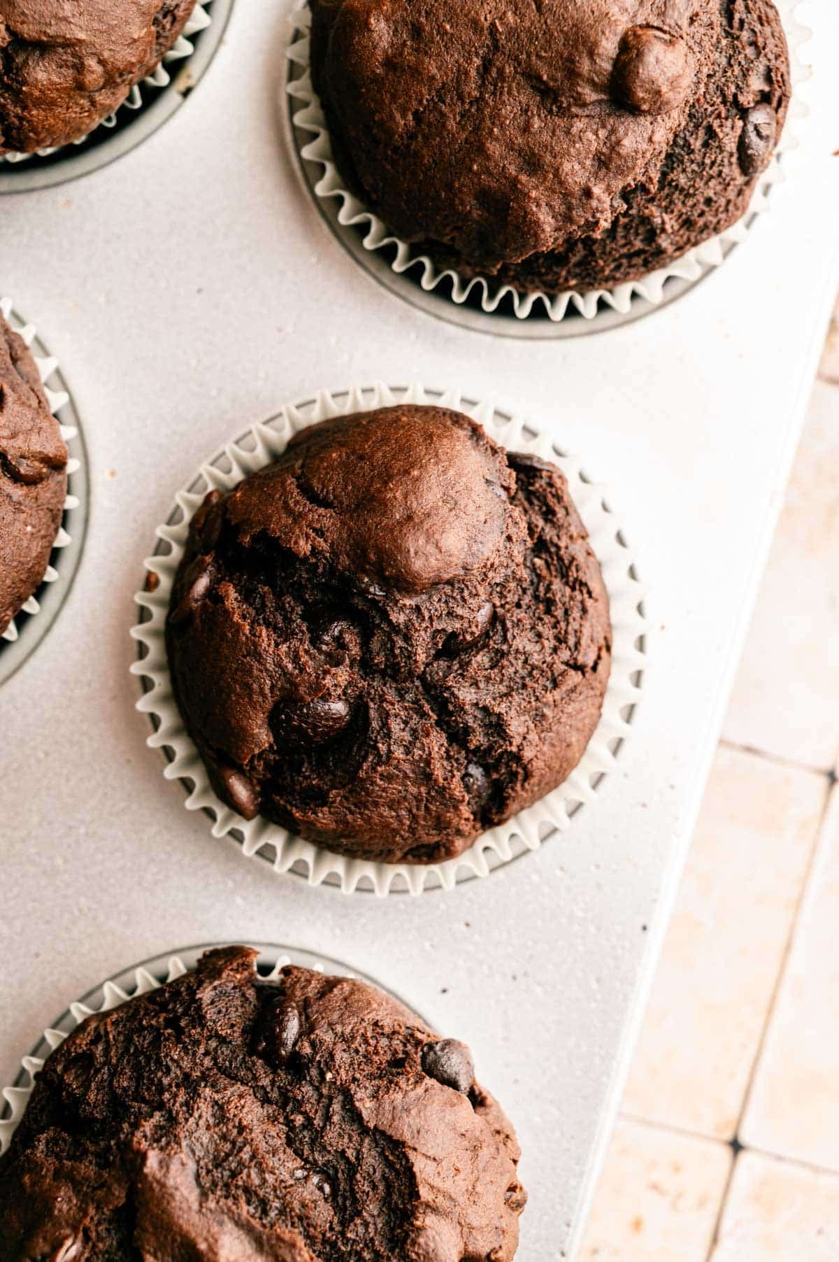 Baked extra chocolate muffins in a baking tin.