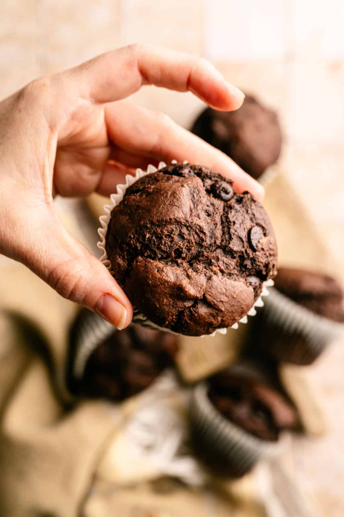 Person holding a vegan chocolate chip chocolate muffin.