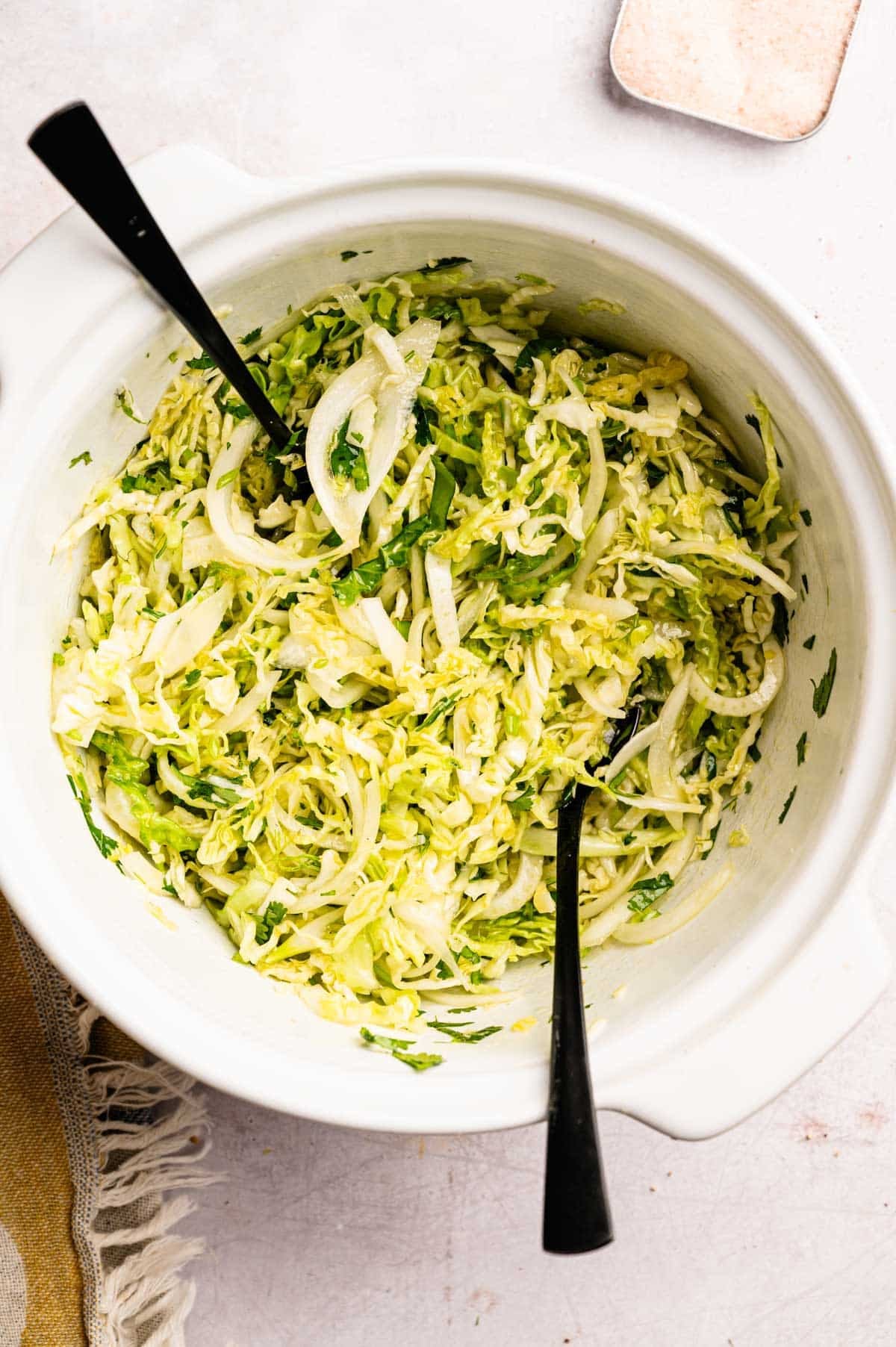 Cabbage, fennel, onion, herbs, spices, and vinegar mixed together.