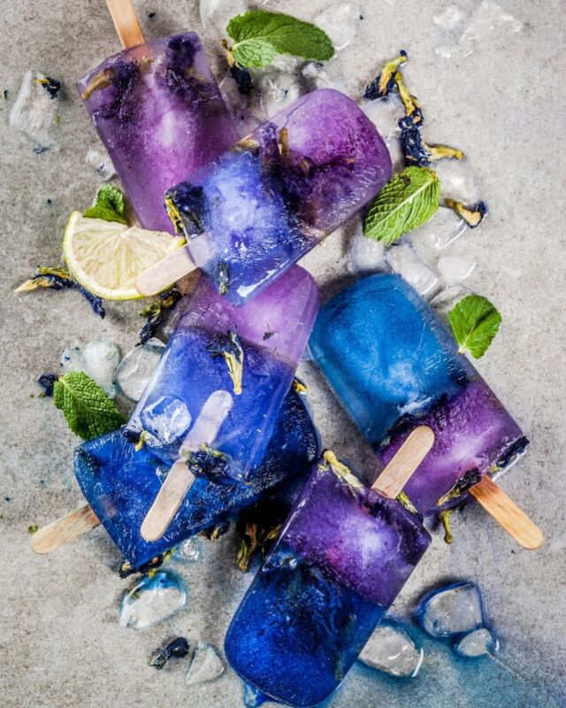 Blue foods are just stunning. I made a list of 80 naturally blue foods including vegetables, fruits, mushrooms, salt, algae, and edible blue flowers!
⠀⠀⠀⠀⠀⠀⠀⠀⠀
The bright blue color of blue foods comes from beneficial plant compounds known as polyphenols. Various shades of blue foods are high in a specific type of anthocyanins.
⠀⠀⠀⠀⠀⠀⠀⠀⠀
One great thing about anthocyanins found in blue foods is that they reduce oxidative stress in your body. They contribute to your overall health and fight off free radicals that cause disease. 
⠀⠀⠀⠀⠀⠀⠀⠀⠀
Anthocyanins have also been found to improve or even prevent chronic diseases. They are antimicrobial, anticancer, and antidiabetic. Anthocyanins have also been shown to prevent cardiovascular diseases.
⠀⠀⠀⠀⠀⠀⠀⠀⠀
#raepublic #bluefoods #butterflypea #butterflypeaflower #butterflypeaflowertea